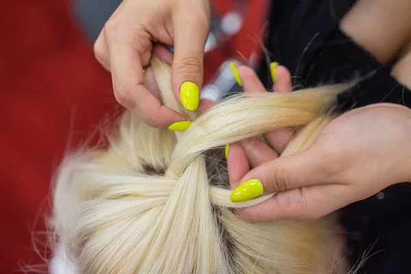 As mãos de mulheres tecem um pigtail na cabeça de morenas. — Fotografia de Stock