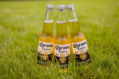 UFA, RUSSIA -13 Haziran 2021: Corona Extra, Meksika 'da Cerveceria Modelo tarafından üretilen soluk renkli bira..