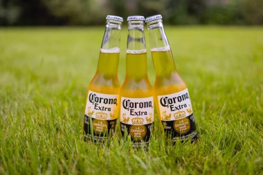 UFA, RUSSIA -13 Haziran 2021: Corona Extra, Meksika 'da Cerveceria Modelo tarafından üretilen soluk renkli bira..