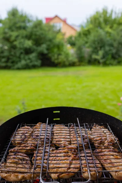 Marinated grilled chicken on the flaming grill. — 图库照片