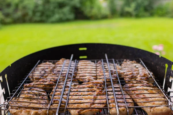 Marinated grilled chicken on the flaming grill. — 图库照片