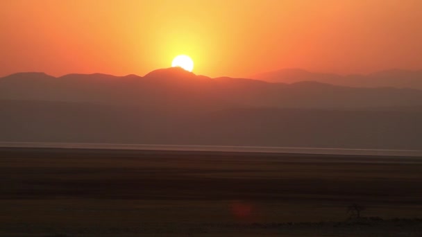 アフリカの風景,サバンナの赤い夕日アフリカドーマタンザニアアフリカ. — ストック動画