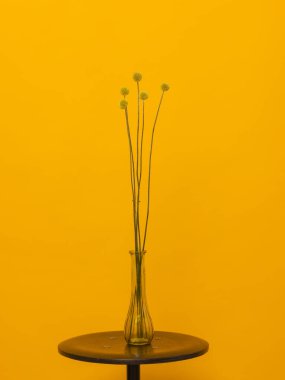 Çok sayıda farklı çiçek jölesiyle yakın plan renkli bahar çiçeği..