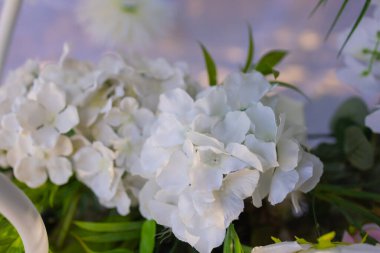 Düğün kemeri dışarıda kumaş ve çiçeklerle süslenmiş. Güzel bir düğün..