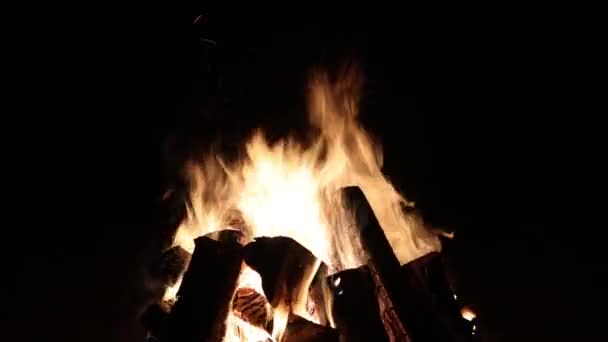 Noční táborák na tmavém pozadí. Plameny rozptylují jiskry všemi směry. Jasně hořící oranžový oheň. — Stock video