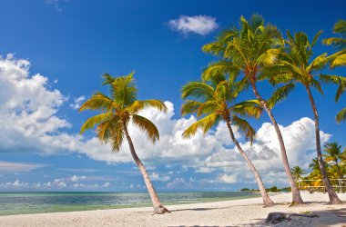 Tropical summer paradise in Key West Florida clipart