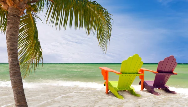 Tropical beach in Miami Florida with palm trees