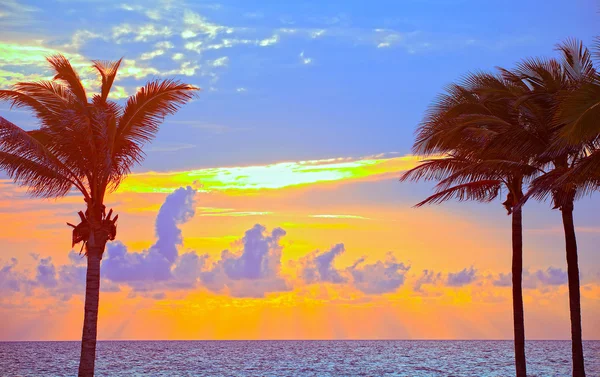 Miami beach, florida, barevné léto východu nebo západu slunce s palmami — Stock fotografie