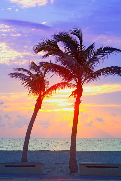 Miami Beach, Florida colorido amanecer de verano o puesta de sol con palmeras —  Fotos de Stock