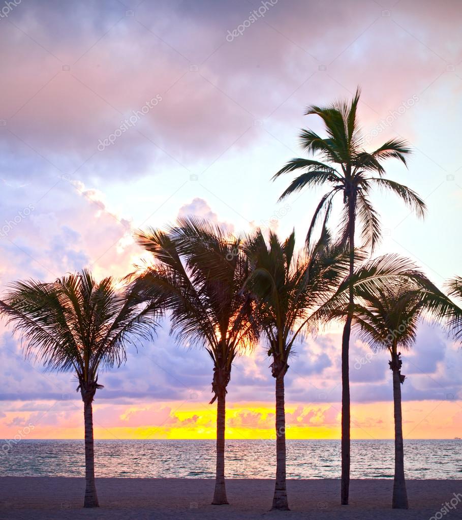 Miami Beach, Florida colorful summer sunrise or sunset with palm trees