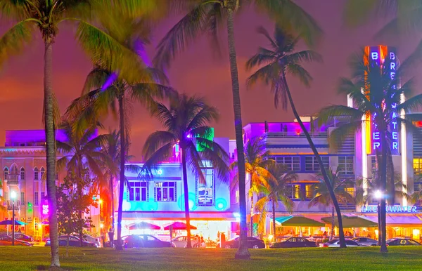 Miami Beach Florida vid solnedgången Stockfoto