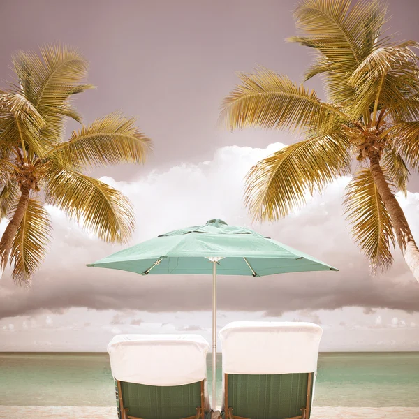 Beach umbrella and palm trees Royalty Free Stock Images