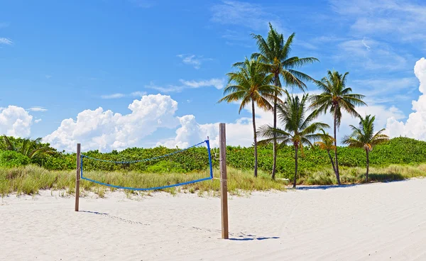 Miami Florida, Palm trees on the beach Royalty Free Stock Images