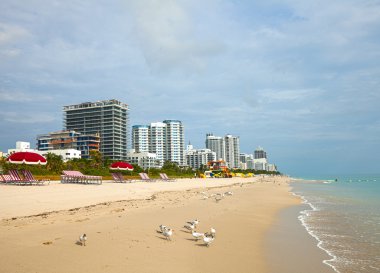 Beach Miami Florida