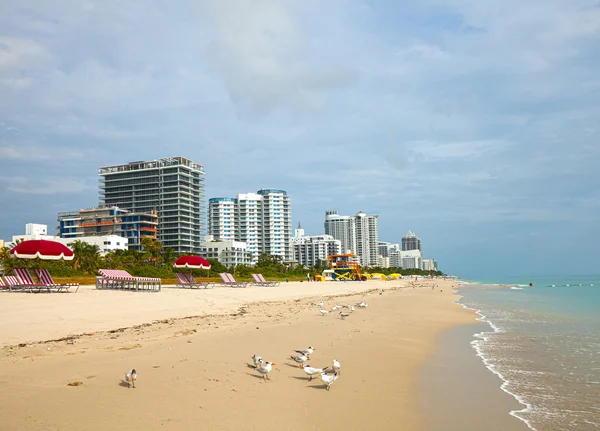 Pláže v Miami na Floridě — Stock fotografie