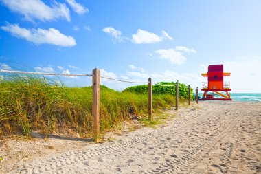 Miami Beach yolu okyanus