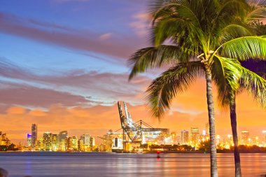 Miami Downtown and port sunset panorama