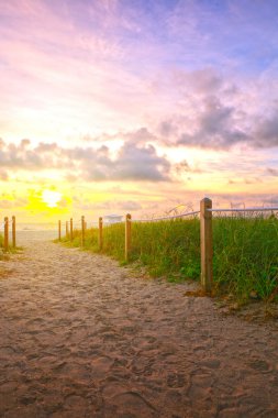 Miami Beach yolu okyanus