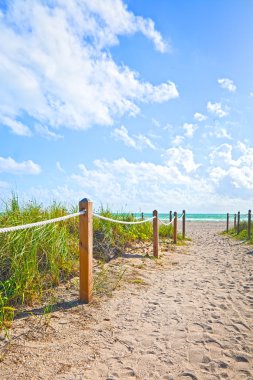 Miami Beach yolu okyanus
