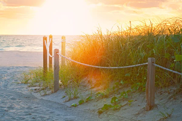 Miami Beach yolu okyanus — Stok fotoğraf