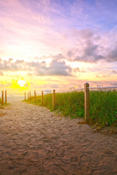 迈阿密海滩路径到海洋 — 图库照片