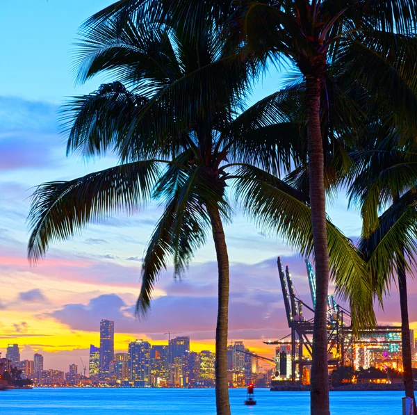 Miami Downtown and port sunset panorama — Stok fotoğraf