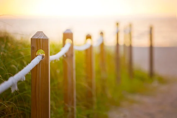 Miami Beach path to the ocean — Stock Photo, Image