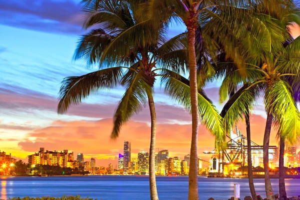 Centro de Miami y panorama del atardecer del puerto — Foto de Stock