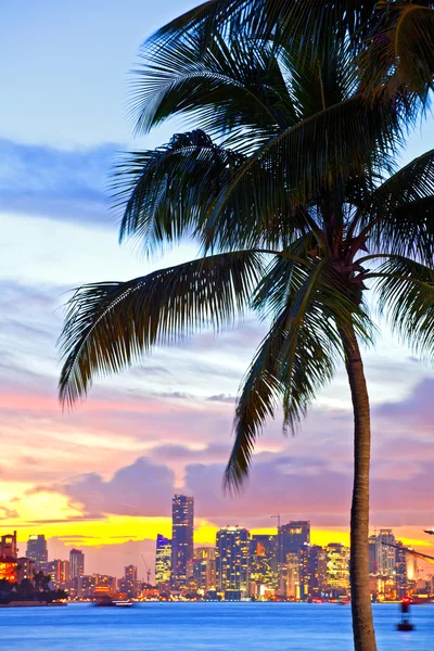 Miami Downtown and port sunset panorama — Stok fotoğraf