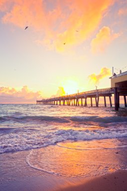 Dania Beach Florida iskele güneş doğarken