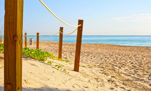 Pfad auf dem Sand zum Meer in miami beach florida — Stockfoto