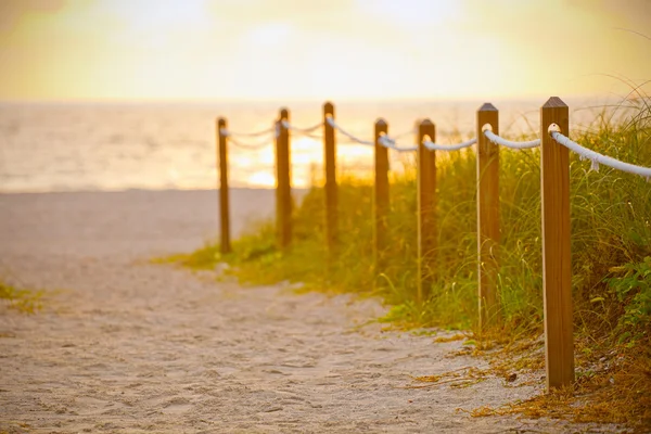 Шлях на піску, збирається океану в Майамі-Біч, Флорида — стокове фото