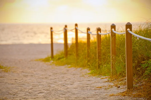 Pad op het zand naar de Oceaan in Miami Beach Florida Stockafbeelding