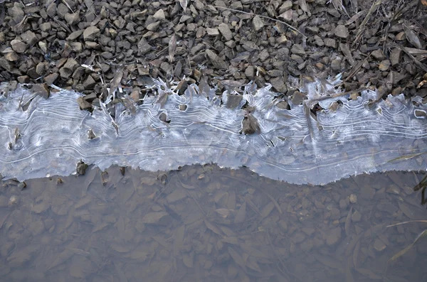 Frozen water near the shore — Stock Photo, Image