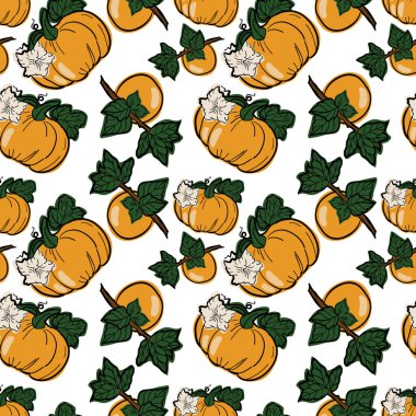 Kabak ve Trabzon hurması