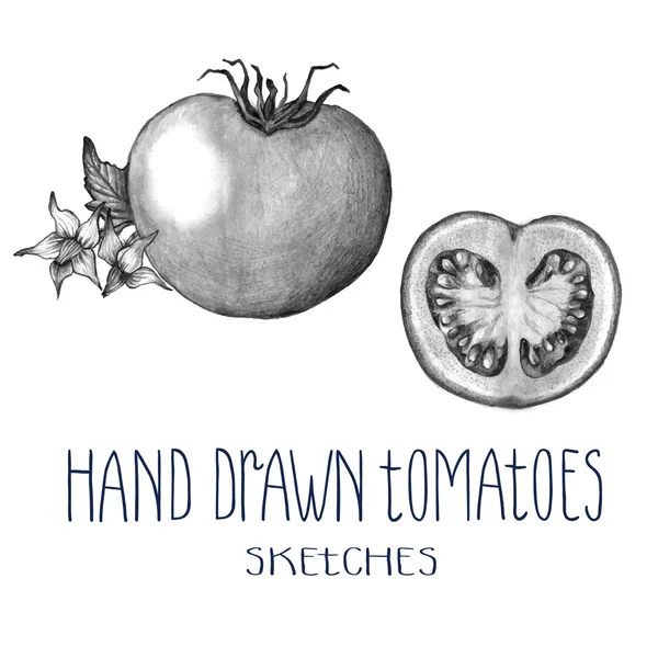 Pomodori disegnati a mano — Vettoriale Stock
