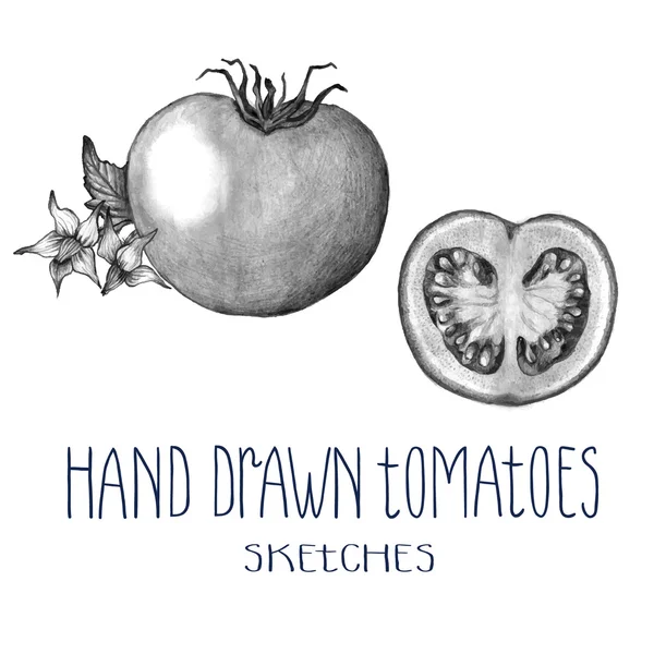 Hand getrokken tomaten — Stockvector