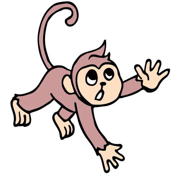 Monkey Running Something — Stock Vector