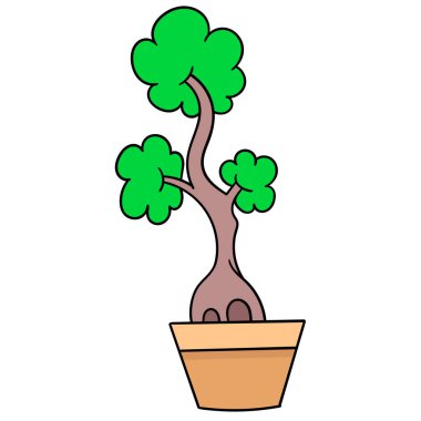 Bonsai ağacını mini kaplara dikin. Karton simge. karalama simgesi çizimi