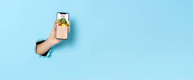 Akıllı telefonu gösteren bir kadın internet üzerinden internet üzerinden yemek dağıtımı yapan mobil uygulama siparişi veriyor. Panoramik resim