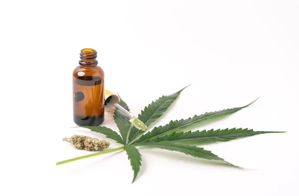 Konopný Olej Výtažky Sklenicích Zelené Listy Konopí Marihuana Izolované Bílém — Stock fotografie