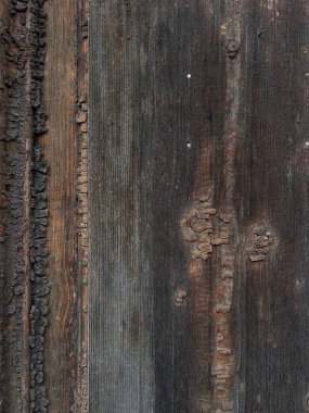 Çatlamış ve soyulmuş eski bir ahşap yüzeyin yakın çekim dokusu. Eski ahşap doğal desenler, çürüme ve ezilme gösterir. Eski veya grunge arka plan olarak kullanılmak için mükemmeldir..