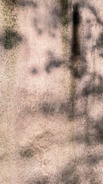 Yumuşak güneş ışığı ve beton bir duvarda ağaç gölgeleri. Işık ve gölge desenleri, çatlaklar ve yıpranmış yüzey detaylarıyla soyut bir arka plan. Tasarım, mimari veya sanatsal altyapı için mükemmel.