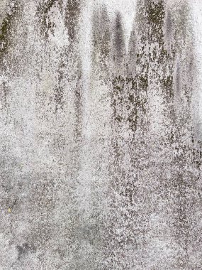 Doğal lekeleri, yosunları ve yıpranmış dokusu olan eski beton bir duvara yakın plan. Kabataslak yüzey ve ince renk değişimleri tasarım, mimari ve doku projeleri için mükemmel bir grunge arkaplanı oluşturur..