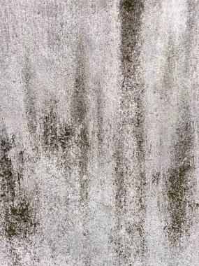 Doğal lekeleri, yosunları ve yıpranmış dokusu olan eski beton bir duvara yakın plan. Kabataslak yüzey ve ince renk değişimleri tasarım, mimari ve doku projeleri için mükemmel bir grunge arkaplanı oluşturur..