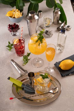 Alkol ve buzdan kokteyl yapmak.