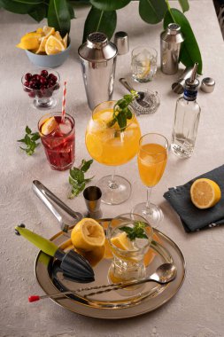 Alkol ve buzdan kokteyl yapmak.