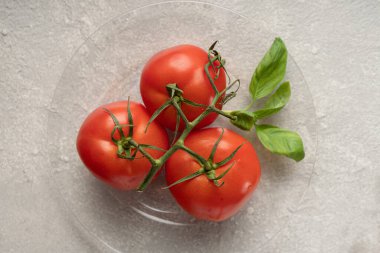 Caprese salatası için malzemeler salata tabağına konur.