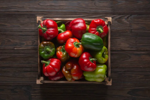 Ernte Frischer Paprika Einer Schachtel — Stockfoto