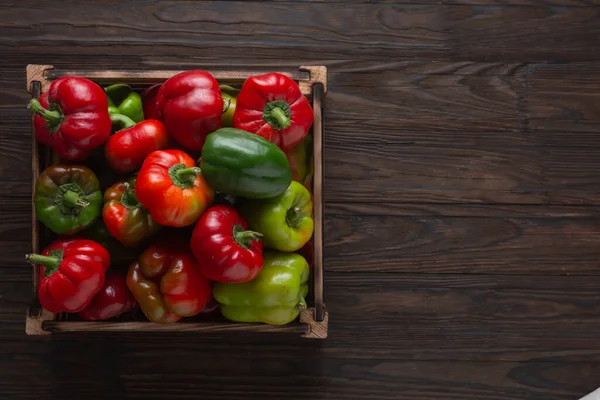 Ernte Frischer Paprika Einer Schachtel — Stockfoto